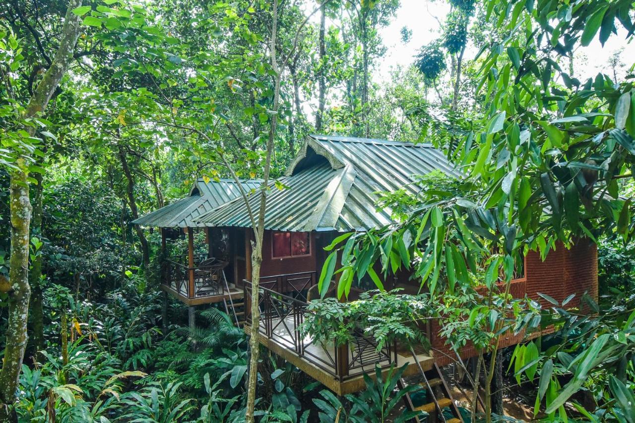Monsoon Retreats Ecostay- Treehouse Thekkady Exterior foto