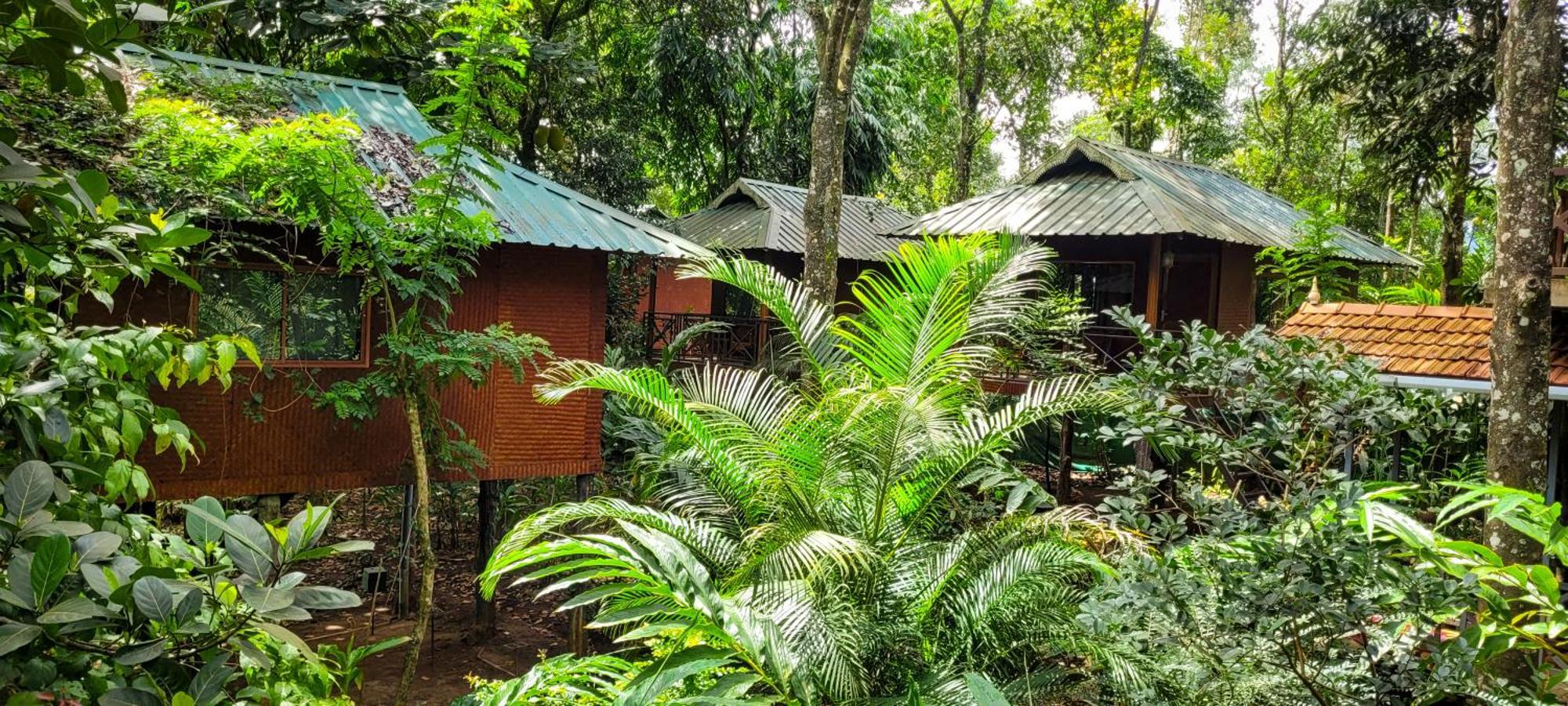 Monsoon Retreats Ecostay- Treehouse Thekkady Exterior foto