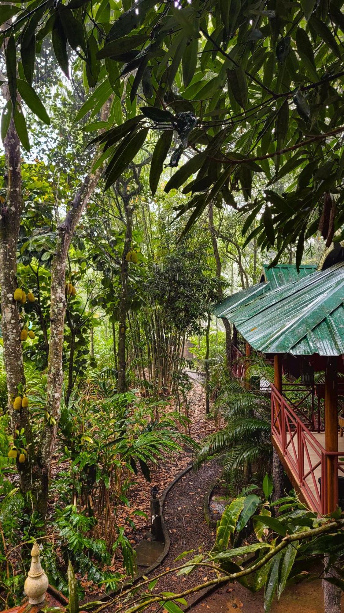 Monsoon Retreats Ecostay- Treehouse Thekkady Exterior foto