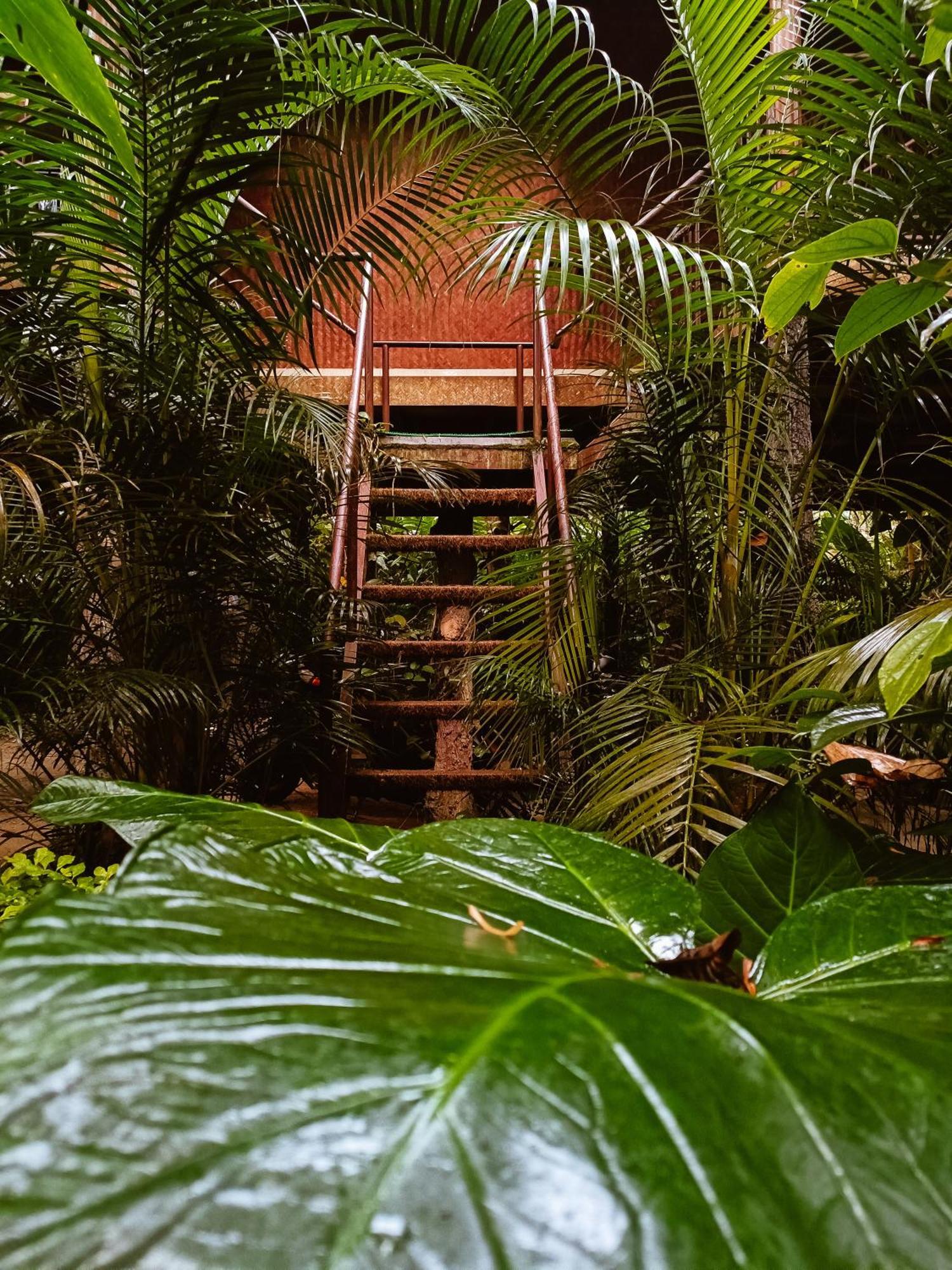 Monsoon Retreats Ecostay- Treehouse Thekkady Zimmer foto