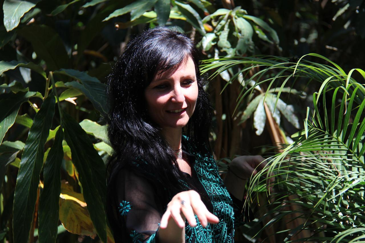 Monsoon Retreats Ecostay- Treehouse Thekkady Exterior foto