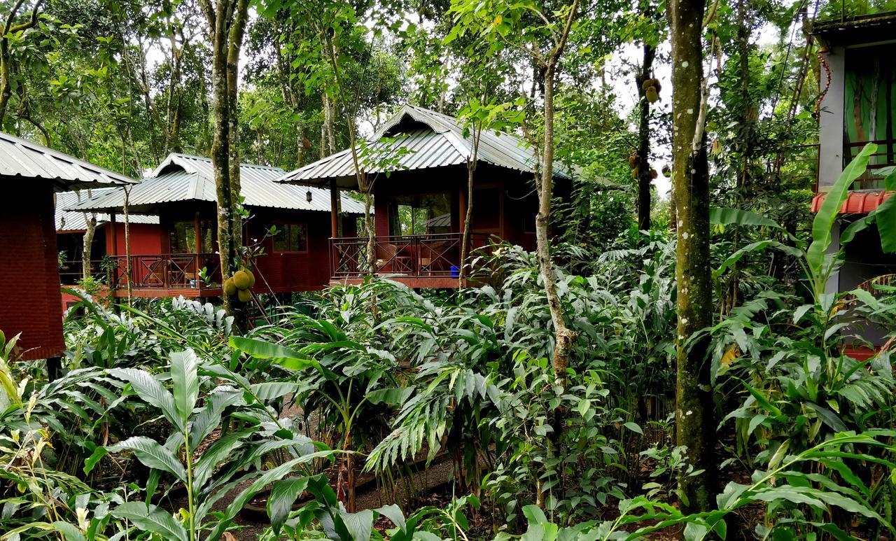 Monsoon Retreats Ecostay- Treehouse Thekkady Exterior foto